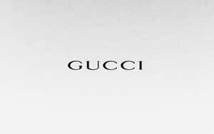 Gucci 標誌以黑色襯線字體置於帶紋理的淺灰色背景上