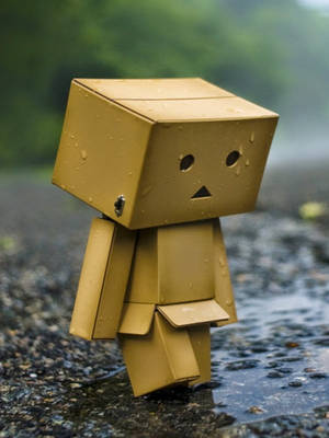 一個細小的黃色紙盒公仔站在雨中濕漉漉的行人路上。