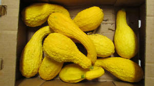 裝有新鮮黃色派蒂班南瓜（表面有紋理）的盒子。
