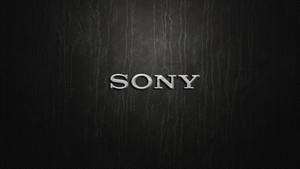 黑色皮革紋理上的銀色 Sony 標誌。 — 銀色 壁紙