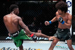 八角籠中的兩名MMA拳手，一人踢向另一人，後者格擋攻擊。
