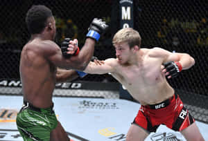 兩名男性MMA拳手在八角籠內互相出拳，進行UFC比賽。