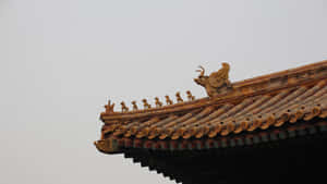 傳統中式瓦屋頂上的裝飾性金龍和神話人物。 — 唐人街 GIF 壁紙