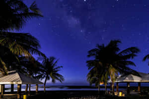 星空下的棕櫚樹和海灘小屋。 — 熱帶海灘 壁紙
