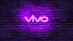 夜間濕磚牆上的紫色 vivo 霓虹燈牌 — 淺紫色動態圖片 壁紙