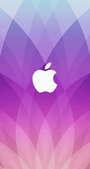 紫色iPhone背景 — 紫色 iPhone 壁紙