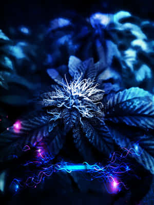 一株發光的藍色大麻植物，在黑暗環境中帶有霓虹光軌。