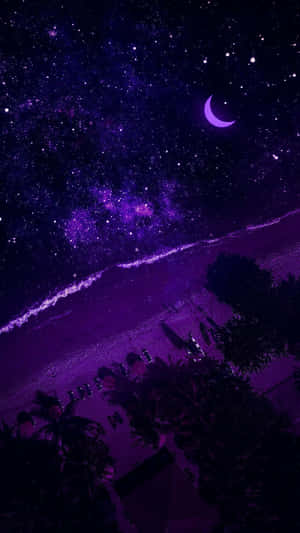 紫色夜晚的海灘，星星和新月在水面上方。 — 淺紫色動態圖片 壁紙