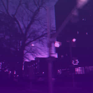 紫色調的夜間城市街道，帶有動態模糊和光禿的樹枝。 — 淺紫色動態圖片 壁紙