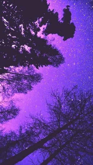 樹木剪影襯托紫色星空。 — 淺紫色動態圖片 壁紙