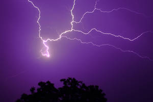閃電照亮了夜晚樹木剪影上方的紫色暴風雨天空。