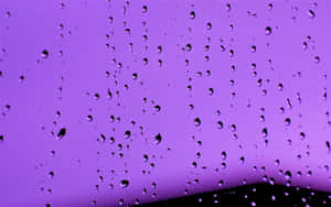 玻璃上的雨滴，映襯著紫色的暮色天空。 — 紫色美學 壁紙