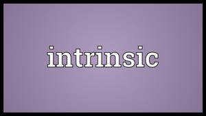 薰衣草色背景上以白色文字顯示「intrinsic」。