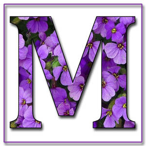 字母 M 充滿了紫色花朵和綠色莖。 — 紫色花朵 壁紙