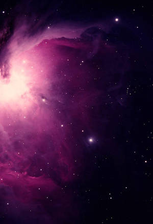 充滿活力的粉紅色和紫色星雲，在深空中散佈著星星。