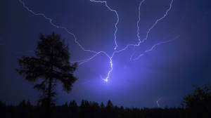 一棵孤樹立在森林中，閃電劃過夜空。