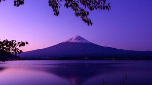 富士山在暮色中倒映在湖中，紫色天空和前景的樹枝