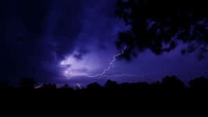 閃電在暴風雨的紫色夜空上閃爍，映襯著樹木的剪影。