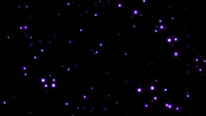 在黑暗的夜空中閃爍的紫色星星。 — 黑紫 壁紙