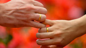 兩隻戴著結婚戒指的手以浪漫姿態觸碰。