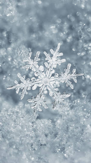 藍光下雪地上詳細的雪花