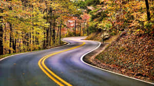 蜿蜒的道路穿過色彩繽紛的秋日森林，落葉遍地