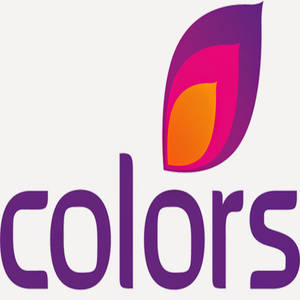 紫色粉紅色和橙色漸變葉子標誌，下方有單詞 colors。