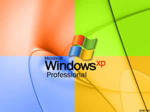 Windows XP Professional標誌在色彩繽紛的抽象背景上