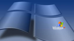 帶有藍色波浪設計的Windows XP Professional Edition標誌。