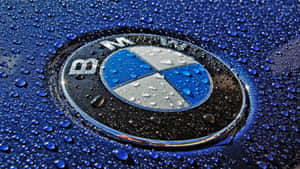 藍色汽車引擎蓋上佈滿雨滴的BMW標誌。