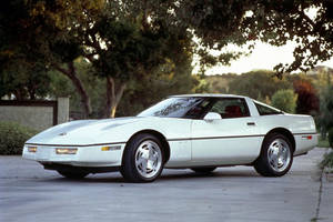 日落時白色Corvette停泊在樹下