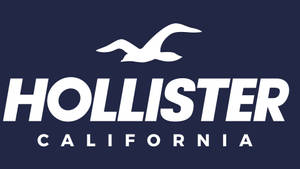 Hollister California 標誌，白色海鷗在粗體文字上方飛翔，背景為海軍藍。 — Studio Display 壁紙