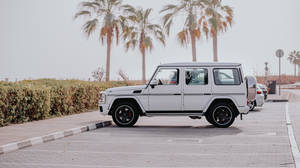 白色 Mercedes G-Wagen 停泊在鋪砌道路上的棕櫚樹旁。