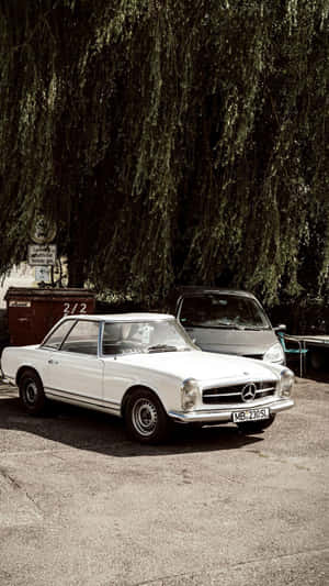 一輛白色 vintage Mercedes-Benz SL 停泊在垂柳下。