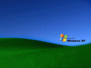藍天下綠色山丘上的Windows XP標誌