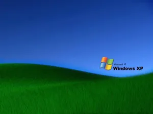 藍天下綠色山丘上的Windows XP標誌