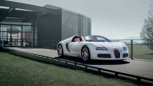白色Bugatti Veyron跑車停泊在現代建築旁，帶有草坪區域。