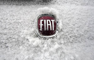 Fiat汽車標誌部分被雪覆蓋。