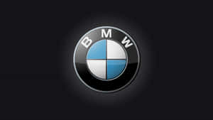 光澤BMW標誌，帶有藍色和白色象限，位於深色紋理背景上。
