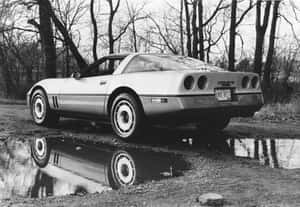一輛白色Corvette跑車停泊在碎石上，帶有水坑反射和光禿的樹木。