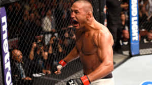 MMA拳手在八角籠內與圍欄後的觀眾慶祝勝利。