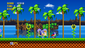 Sonic the Hedgehog 喺有棕櫚樹同向日葵嘅熱帶遊戲關卡中奔跑。 — 遊戲 壁紙