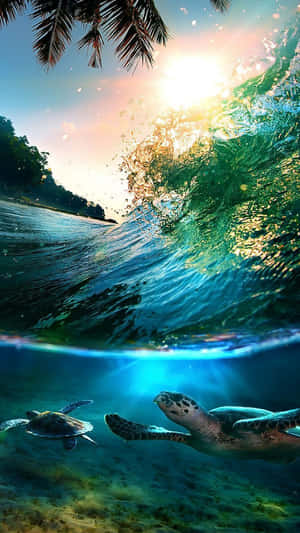 兩隻海龜在陽光照耀的海浪下，伴隨著上方的棕櫚樹，在水中滑行。