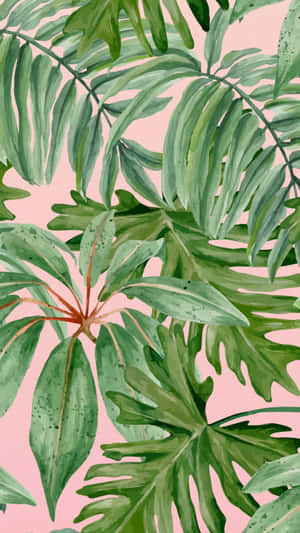 在粉紅色背景上用水彩繪製的熱帶綠色葉片。 — 淺綠色美學動態圖 壁紙