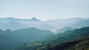 霧氣瀰漫的山景，梯田丘陵和柔和晨光。 — 電腦 GIF 壁紙