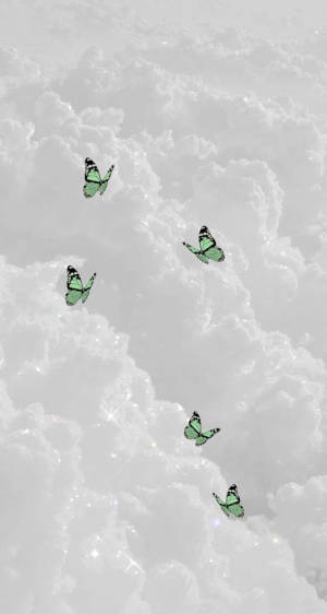 綠色蝴蝶在閃爍的雲朵背景中飛翔。