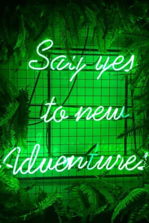 霓虹燈牌寫著「Say yes to new Adventure」，被蕨類植物包圍。