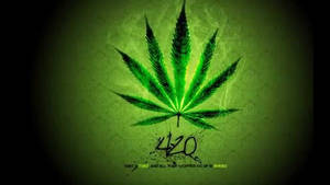 發光的綠色大麻葉與「420」塗鴉，深綠色紋理背景。
