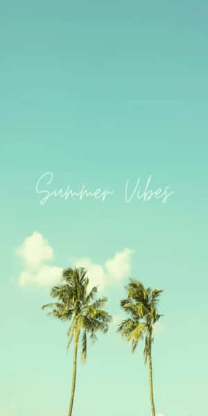 兩棵棕櫚樹在藍綠色天空下，有雲朵和summer vibes文字。