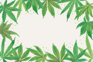 綠色大麻葉排列成裝飾性邊框，奶油色背景上有黃色圓點。